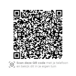 4 Seasons Accor Loungestoel - Antraciet 8 4 Seasons Accor Loungestoel - Antraciet -VIDAXL Verkoop 1000042588 0103