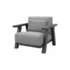 4 Seasons Iconic Loungestoel (1 St.) 2 4 Seasons Iconic Loungestoel (1 St.) -VIDAXL Verkoop 1000048696