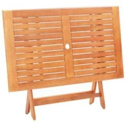 VidaXL Tuintafel Inklapbaar 120x70x75 Cm Massief Eucalyptushout -VIDAXL Verkoop 6875f29f7ab34a728a23a3a4b9810da9